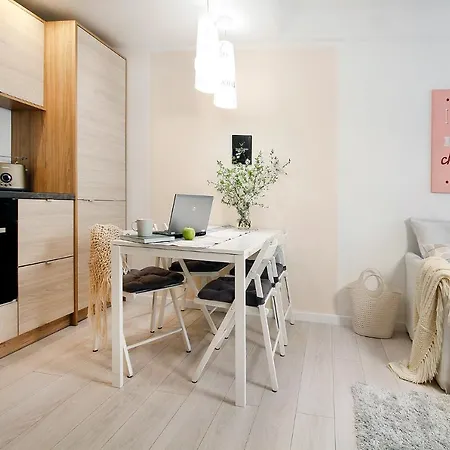 Compact Ii - Mieszkanie Na Parterze, Faktura Vat, Szybkie Wi-fi, Netflix *